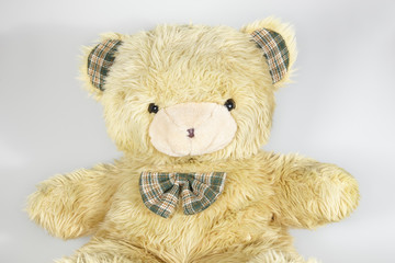 Close up of teddy bear