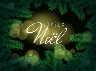French text Joyeux Noel. Merry Christmas greeting card.