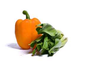  Fresh vegetables