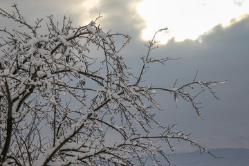 Rural snowy village scene. Countryside detail in a winter.