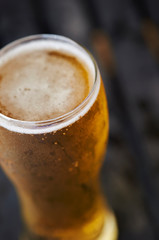 Glass of beer 