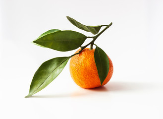 Fresh fruit mandarin with  leaves