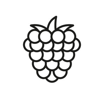 recommend clip art: Raspberry outline icon, fruit symbol, healthy food vector sign isolated on white background. berry icon