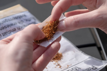 Die Finger einer geübten süchtigen jungen Frau richten den braunen frischen Tabak um eine...