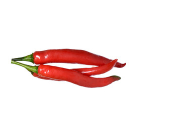  Fresh red chili