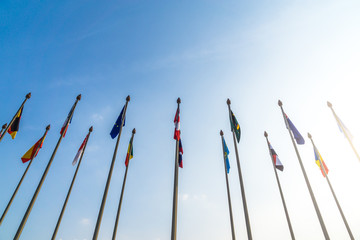 flags on white background
