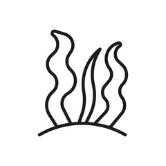 Algae outline icon, seafood symbol, healthy food vector sign isolated on white background