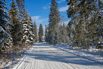 beautiful winter mountain road