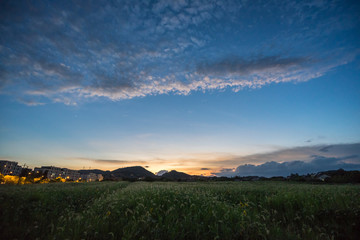 sunset over green field