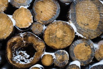 gestapelte Holzst&auml;mme im Wald