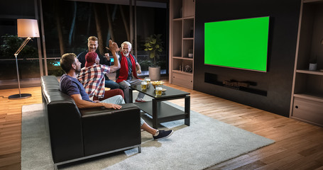 A group of fans is watching a TV and celebrating some joyful sports moment, sitting on the couch in the living room.