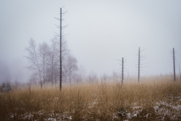 winterliche Nebellandschaft Wanderung