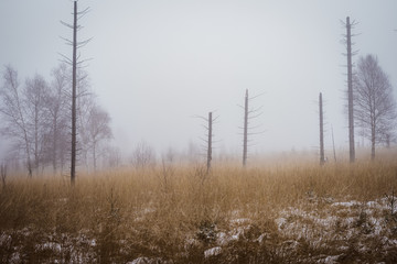 winterliche Nebellandschaft Wanderung