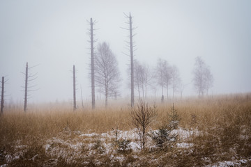 winterliche Nebellandschaft Wanderung