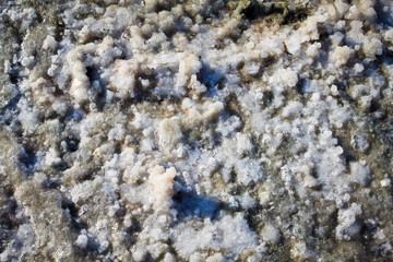 Sea salt on the shore of a salty lake on the island of Cyprus