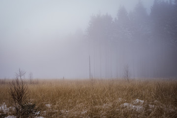 winterliche Nebellandschaft Wanderung