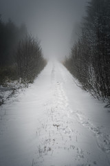 schneebedeckter Wanderweg Wald Winter