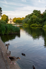 Saint James Park