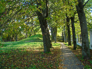 Autumn alley in the park covered with fallen leaves