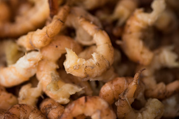 Geschälte Friesische  Nordseekrabben in Schale