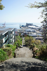 Fototapeta premium 水天宮の高台から見下ろす階段