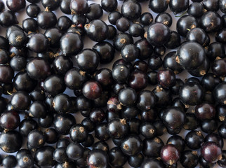 Background of black currants. Fresh berries closeup. Top view. Background of fresh berries. Various fresh summer fruits. Black food. Background of blackcurrants.