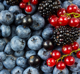 Mix berries and fruits. Ripe blackberries, blueberries, blackcurrants, red currants. Top view. Background berries and fruits. Various fresh summer fruits.