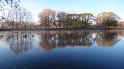 Autumn in Saint Petersburg parks in october 2018