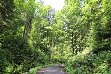 Mountain road to the lake