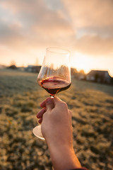 Point-of-View-Shot of a hand holding a glass of red wine into the sun