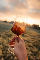 Point-of-View-Shot of a hand holding a glass of red wine into the sun