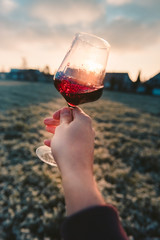 Point-of-View-Shot of a hand holding a glass of red wine into the sun