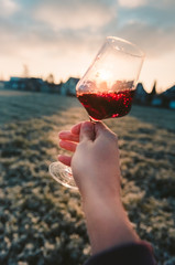 Point-of-View-Shot of a hand holding a glass of red wine into the sun