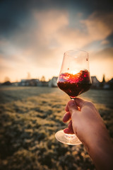 Point-of-View-Shot of a hand holding a glass of red wine into the sun