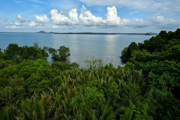 Cumulonimbus cloud form above tropical sea