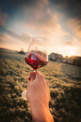 Point-of-View-Shot of a hand holding a glass of red wine into the sun
