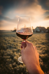 Point-of-View-Shot of a hand holding a glass of red wine into the sun