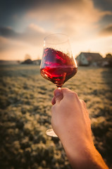 Point-of-View-Shot of a hand holding a glass of red wine into the sun