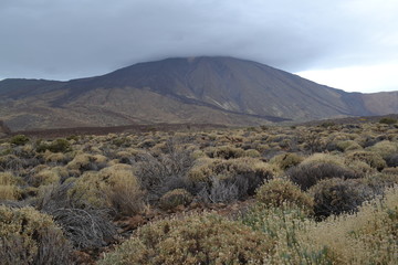teide 6