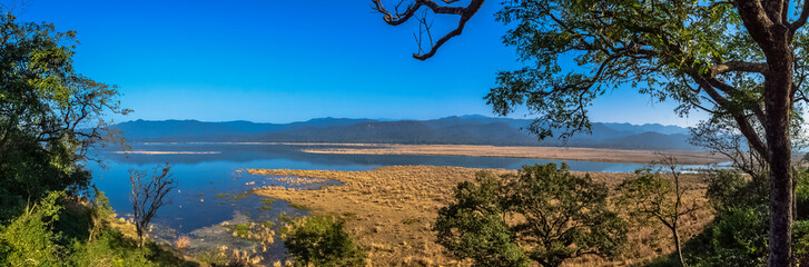 Panorama of Kosi River in Jim Corbett National Park, India - obrazy, fototapety, plakaty