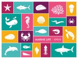 Marine life icon set in flat style