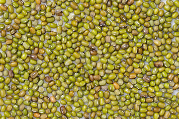 Image of mung bean. Background texture. Food.