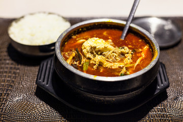 Yukgaejang (spicy beef soup) with spoon and rice