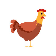 Domestic animal hen. Bird on the farm