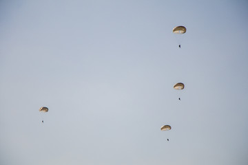 Jump of paratrooper with white parachute, Military parachute jumper in the sky.