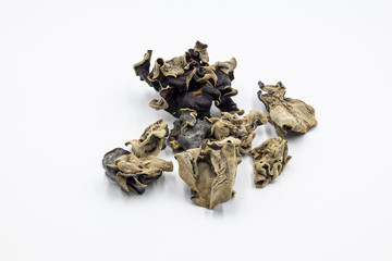 Black fungus in white background