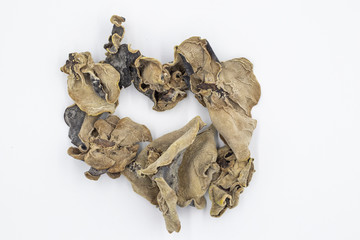 Black fungus in white background