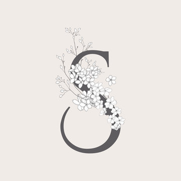 Vector Blooming Floral Initial S Monogram And Logo