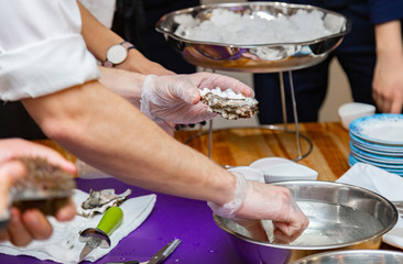 Cook cooks oysters