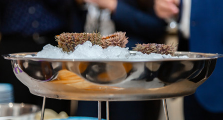People eat sea urchin in a restaurant